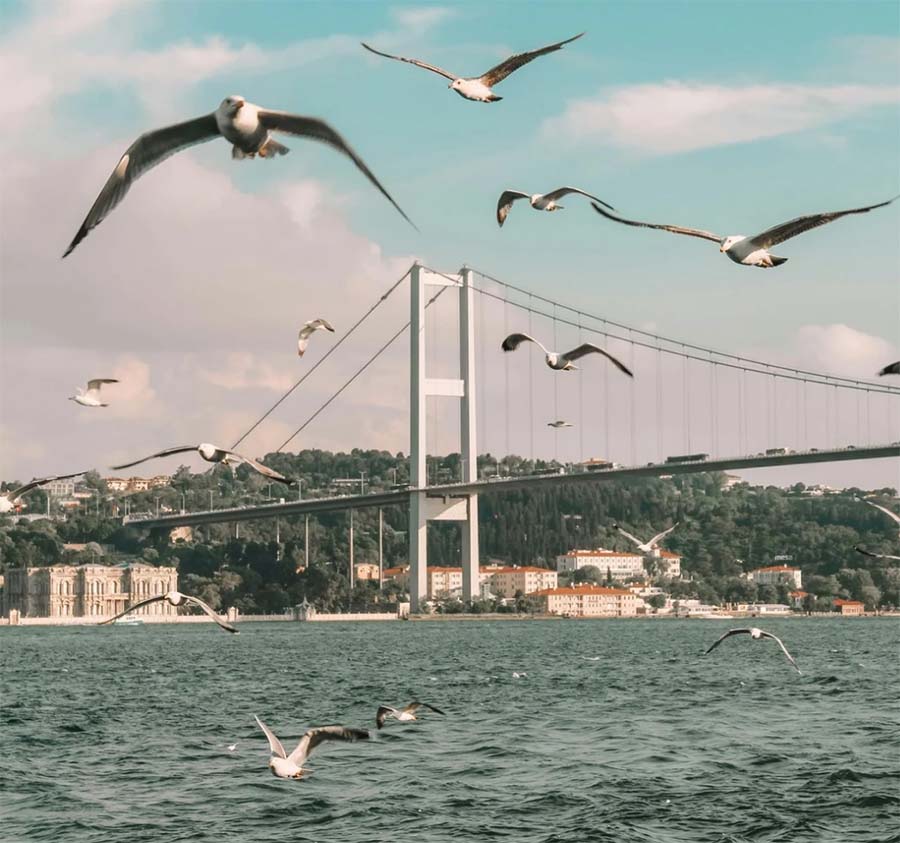  Bosphorus Dinner Cruise – Private Table with Unlimited Soft Drinks & Live Show 